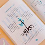 ⁦منظم مكتبي- زهرة⁩ - الصورة ⁦5⁩