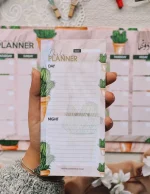 ⁦cactus⁩ - الصورة ⁦3⁩