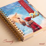 بوكس اجندة 2026 – Serenity